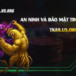 Thống Kê Rồng Bạch Kim - Bảng Thống Kê Chuẩn Nhất 2026 - rovon