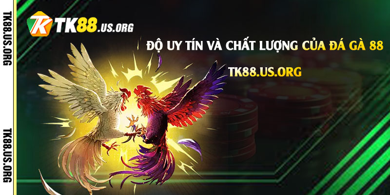 Đá Gà 88 - Trang Đá Gà Tại Tk88 Uy Tín Chất Lượng Nhất - rovon
