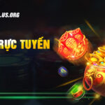 Thống Kê Rồng Bạch Kim - Bảng Thống Kê Chuẩn Nhất 2026 - rovon