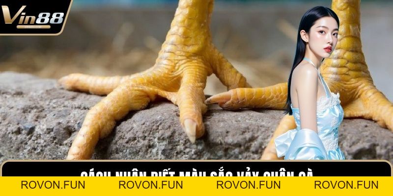 Vảy Huyền Trâm Với Những Bí Mật Chưa Từng Được Tiết Lộ - rovon