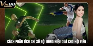 Thể Thao VIN88 - Điểm Đến Lý Tưởng Cho Đam Mê Bất Tận - rovon