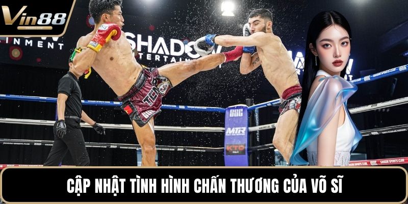 Cá Cược Muay Thái Đỉnh Cao Với Tỷ Lệ Thưởng Hấp Dẫn - rovon
