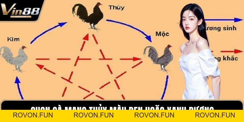 Phong Thủy Trong Đá Gà Mang Đến Cơ Hội Chiến Thắng - rovon