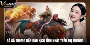 Đá Gà VIN88 - Thiên Đường Chọi Gà Thưởng Cực Khủng - rovon