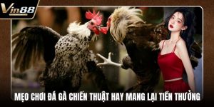 Đá Gà VIN88 - Thiên Đường Chọi Gà Thưởng Cực Khủng - rovon