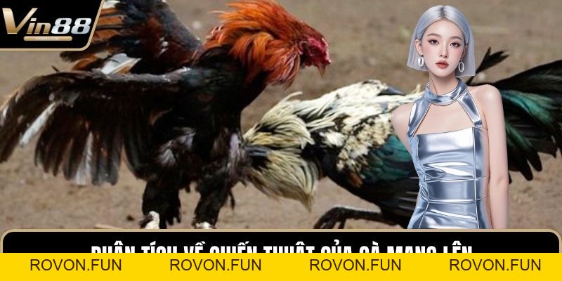 Mẹo Chơi Đá Gà Chiến Thuật Hay Mang Lại Tiền Thưởng - rovon