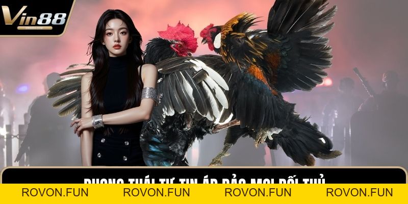 Đá Gà VIN88 - Thiên Đường Chọi Gà Thưởng Cực Khủng - rovon