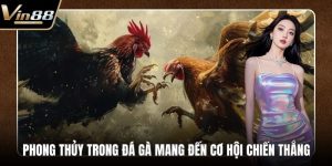Đá Gà VIN88 - Thiên Đường Chọi Gà Thưởng Cực Khủng - rovon