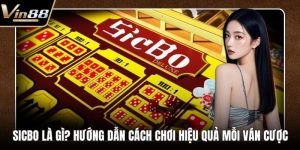 Casino VIN88 - Nơi Trải Nghiệm Sòng Bạc Đỉnh Cao Nhất - rovon