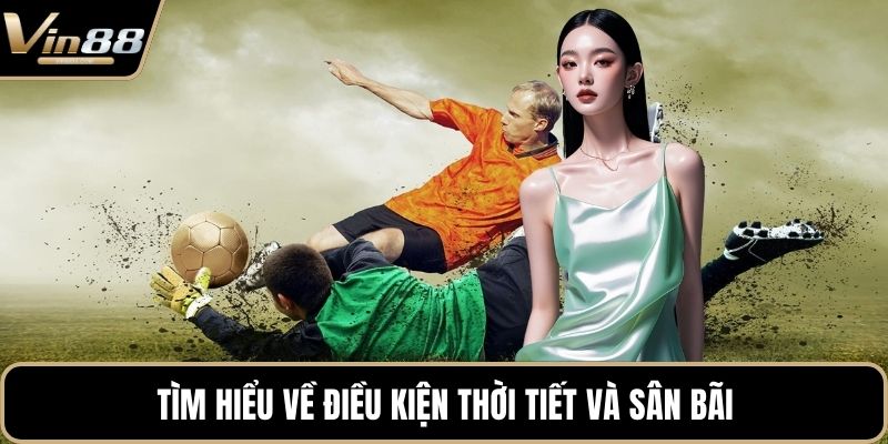 Cách Phân Tích Chỉ Số Đội Bóng Hiệu Quả Cho Hội Viên - rovon