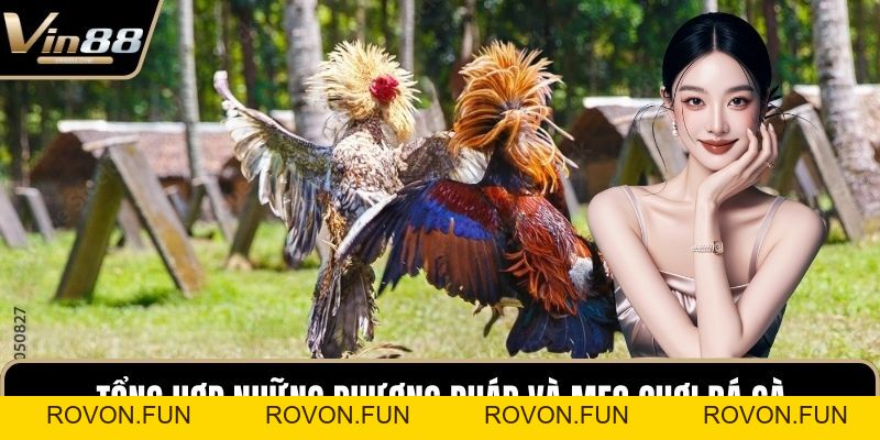 Mẹo Chơi Đá Gà Chiến Thuật Hay Mang Lại Tiền Thưởng - rovon