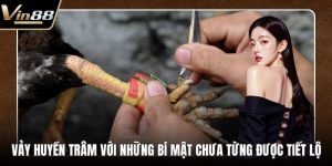 Đá Gà VIN88 - Thiên Đường Chọi Gà Thưởng Cực Khủng - rovon